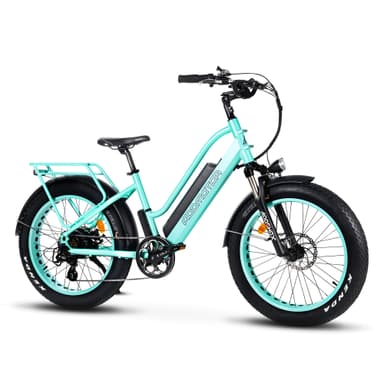 Addmotor Urban Ebike 750W 20AH Cruiser Fat Tire Step Thru Electric Bikes Sale, Cyan