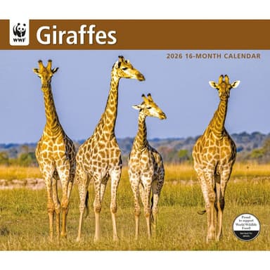 Giraffes WWF 2026 Wall Calendar
