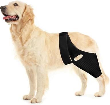 Leg Braces for Dogs with Hip Dysplasia