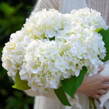 Silk Hydrangea Flowers 5pcs Realistic Faux Cream White
