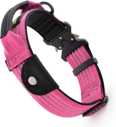 Breakaway dog collar