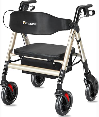 Walker with Seat and Brakes Heavy Duty 450Lb