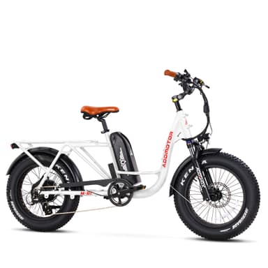 Addmotor GAROOTAN M-81 Electric Cargo Bike Step thru Long Range Cargo Electric Bike with 20Ah Battery