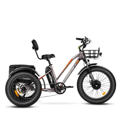 Addmotor Triketan Fat Tire Rlectric Trike for Snowy, Rainy, and Sunny Days and All Kinds of Road 2023 New Version, Grey